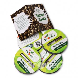 Indica Mix #1 Auto Fem.