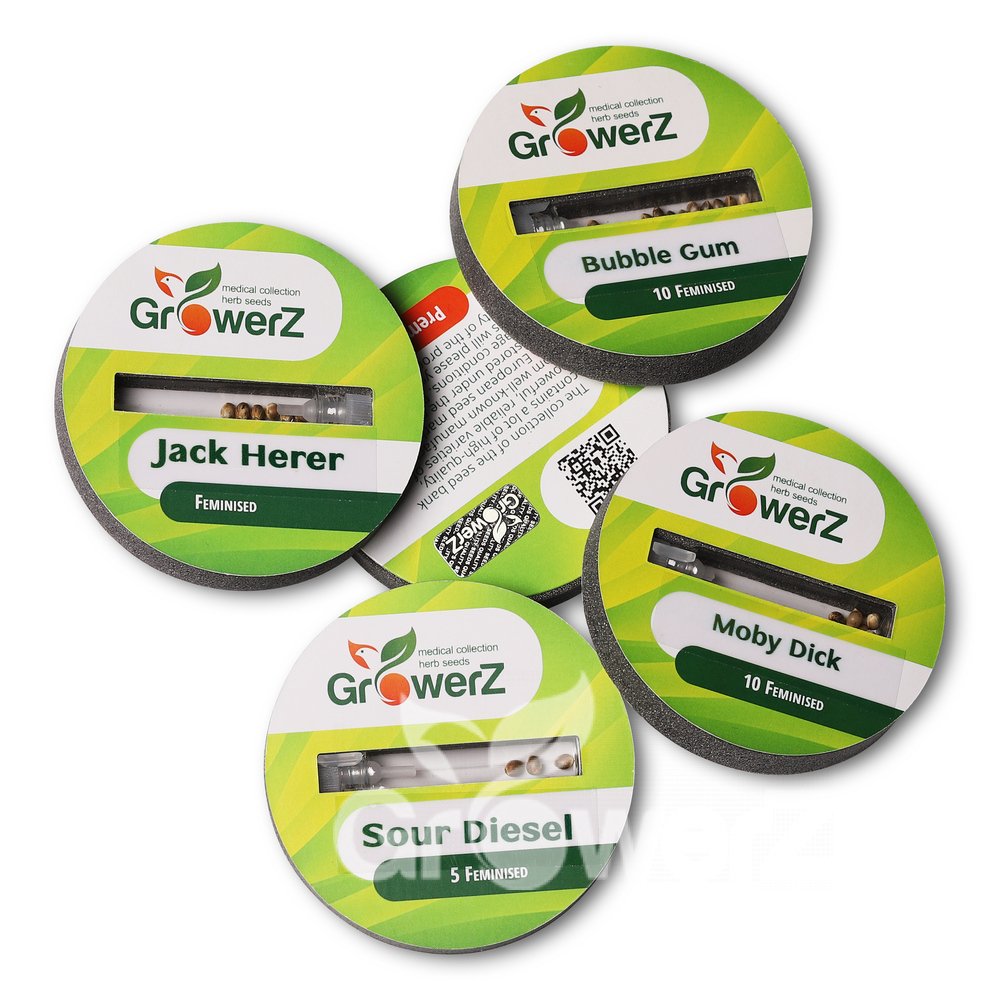 Girl Scout Cookies Fem.