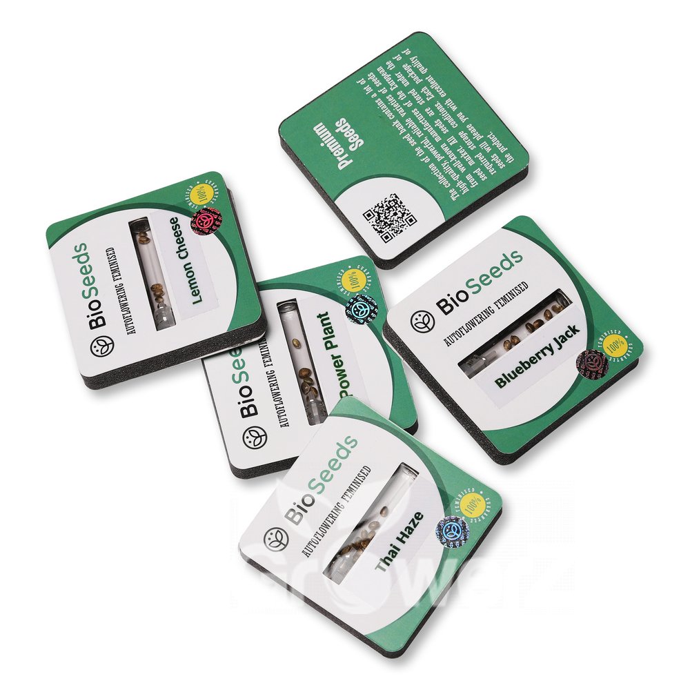 Blue Critical Auto Fem.