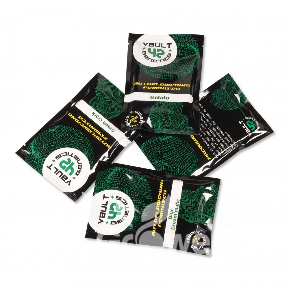 Orange Sherbet Auto Fem.