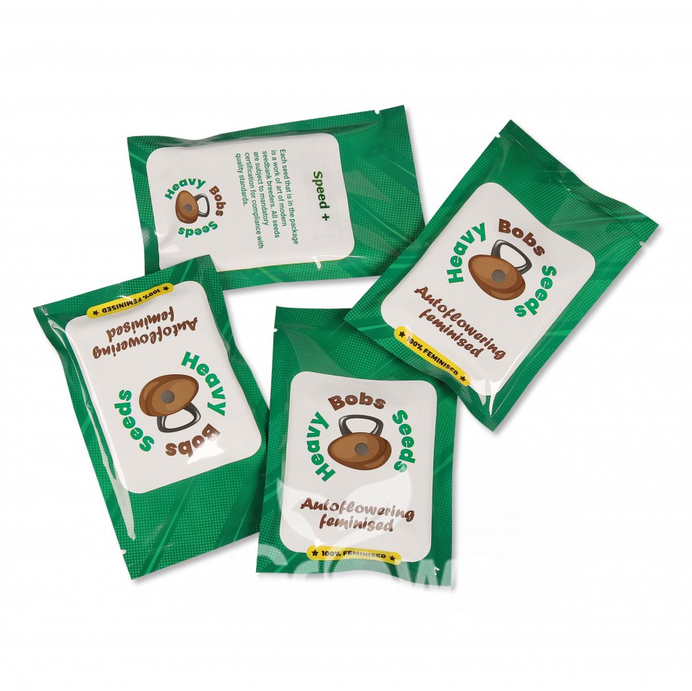 Brooklyn Sunrise Auto Fem.