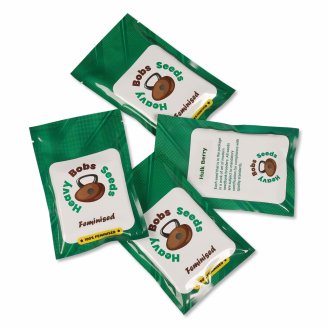 Семена конопли купить сорт Golosa Fem.