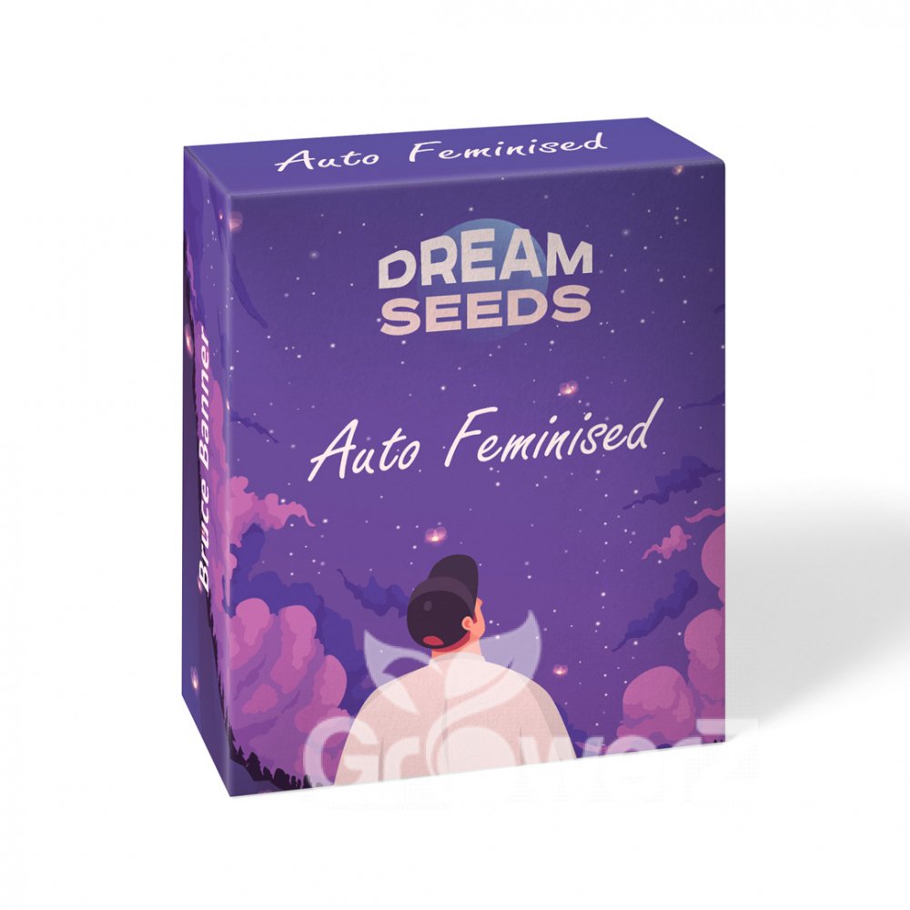 Afghan Original Auto Fem.